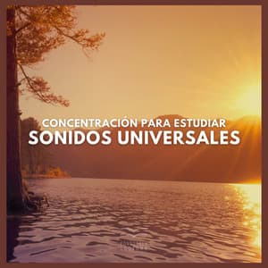 Concentración para Estudiar: Sonidos Universales - Fondo de la lectura