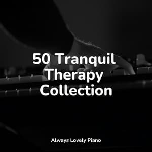 50 Calming Sounds for Relaxing and Studying - Bar Lounge