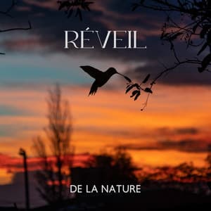 Réveil de la nature: Relaxation paisible avec le chant des oiseaux - Oasis de Musique Nature Relaxante