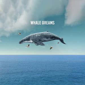Whale Dreams - Sounds Of The Sea