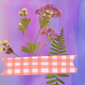 Music for Forgetting Time - Swanky Harmonica Solo - Musik zum Lesen