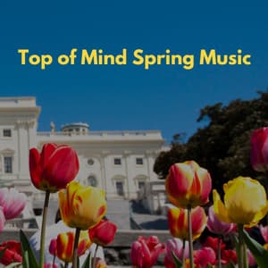 Top of Mind Spring Music - Jazz Rilassante Retro