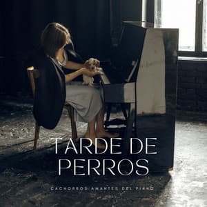 Cachorros Amantes Del Piano: Tarde De Perros - Piano y tormenta