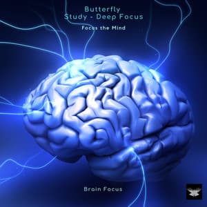 Brain Focus - Focus the Mind