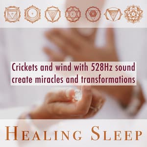 Crickets And Wind With 528Hz Sound Create Miracles And Transformations - Healing Sleep