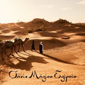 Oasis Mágico Egipcio: Sonidos Relajantes del Medio Oriente - Relaxar Bem Estar Clube