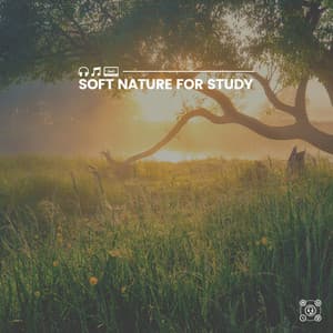 Soft Nature for Study - The Nature Soundscapes