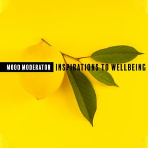 Mood Moderator. Inspirations to Wellbeing - Little Jazz Project