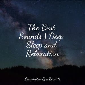 The Best Sounds | Deep Sleep and Relaxation - Masters of Binaurality
