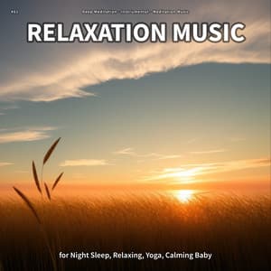 #01 Relaxation Music for Night Sleep, Relaxing, Yoga, Calming Baby - Deep Meditation
