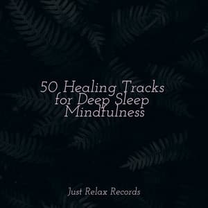 50 Healing Tracks for Deep Sleep Mindfulness - Relaxing Music