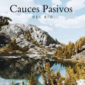 Cauces Pasivos Del Río - Efectos de agua
