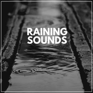 Raining Sounds - Rain Drops for Sleep