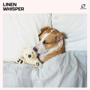 Linen Whisper: Relaxation Sleep Music - Sleep Music Zone