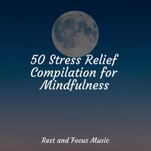 50 Stress Relief Compilation for Mindfulness - Yoga Namaste