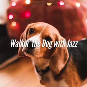 The Doggone Good Jazz Show - Dog Calming Music