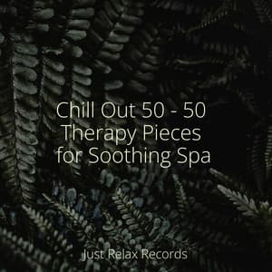 Chill Out 50 - 50 Therapy Pieces for Soothing Spa - Meditación Guiada