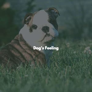 Dog's Feeling - Kaffeehaus Jazz