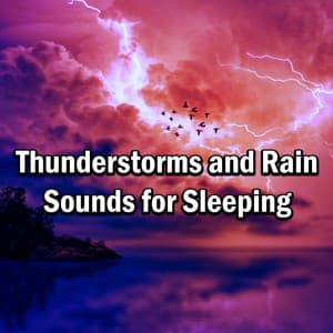 Thunderstorms and Rain Sounds for Sleeping - Australian Nature