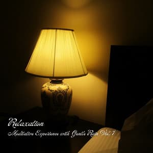 Relaxation: Meditative Experience with Gentle Rain Vol. 1 - Piano: Classical Relaxation