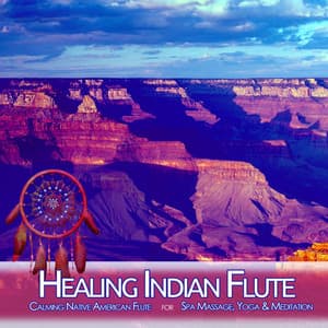 Healing Indian Flute: Calming Native American Flute for Spa, Massage, Yoga & Meditation - Deep Sleep Music DEA Channel