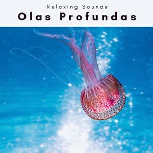 A h o r a: Olas Profundas - Las Olas Del Mar