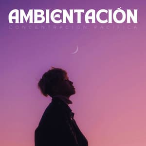 Ambientación: Concentración Pacífica - Música Chill para Cafés