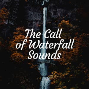 The Call of Waterfall Sounds - Memory of Water