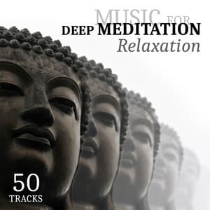 Music for Deep Meditation Relaxation 50 Tracks: Best Relaxing Nature Sounds Collection, Healing Zen Music Garden for Yoga, Sleep, Study and Spa - Relaxation & Meditation Academy