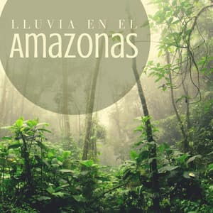 Lluvia en el Amazonas - Sonidos De Lluvia y Viento