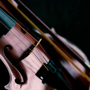 Calming Classical Orchestra for Spa - Charles Anderson