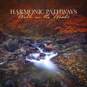 Walk in the Woods - Harmonic Pathways