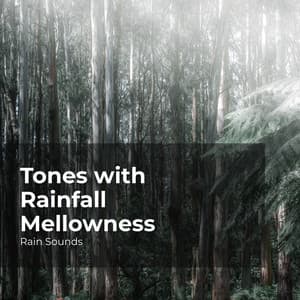 Tones with Rainfall Mellowness - Rain Sounds