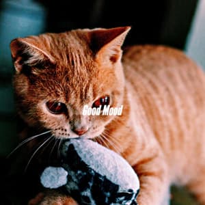 Good Mood - Coffee House Lounge VIbes