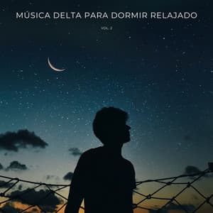 Música Delta Para Dormir Relajado Vol. 2 - Musica relajante dormir