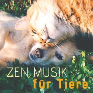Zen Musik für Tiere: Klangtherapie für Tiere, um Inneren Frieden und Freude zu Finden - Pet Music World