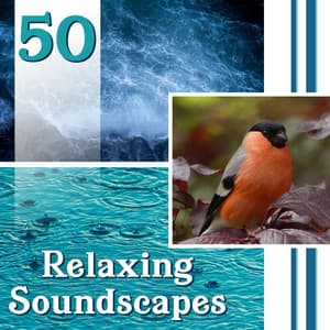 50 Relaxing Soundscapes: Natural Ambiences for Yoga, Deep Meditation & Healing, Music for Stress Relief - Nature Sounds Paradise