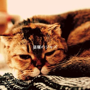 昼寝のジャズ - French Cafe Jazz Relaxation