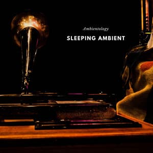 Sleeping Ambient - Ambientology