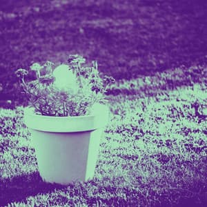 Grand Background Music for Fresh Days - Bossa Lounge Deluxe