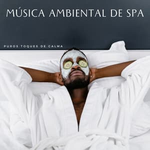 Música Ambiental De Spa: Puros Toques De Calma - Reiki y Tai Chi Armonía