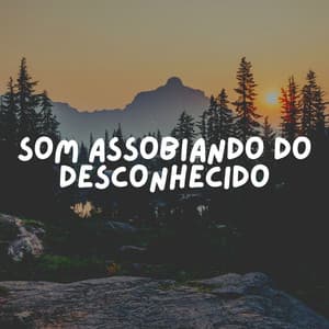 Som Assobiando Do Desconhecido - Relaxantes Natureza Zona