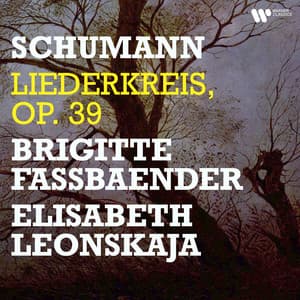 Schumann: Liederkreis, Op. 39 - Robert Schumann