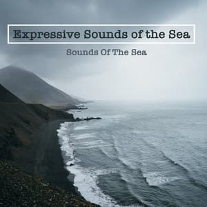 Expressive Sounds of the Sea - Sounds Of The Sea