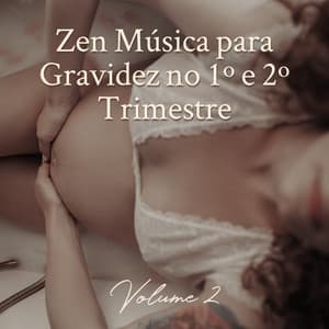 Zen Música para Gravidez no 1º e 2º Trimestre: Volume 2, Diodos Leves e Rápidos para Música Oriental, Massagem de Períneo - Massagem Música