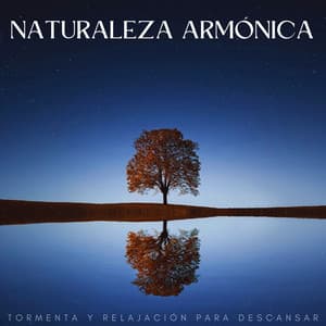 Naturaleza Armónica: Tormenta Y Relajación Para Descansar - Tormentas eléctricas y sonidos de tormenta de lluvia