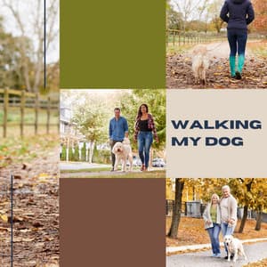 Walking My Dog - Dog Sleep Dreams