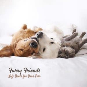 Furry Friends: Lofi Beats for Your Pets - Jamie Lofi