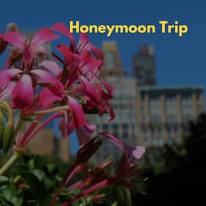 Honeymoon Trip Music - Cafe Restaurant Music