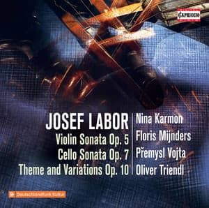 Labor: Chamber Works - Josef Labor